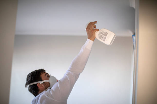 Best Mold Removal and Inspection  in Ashland, MO