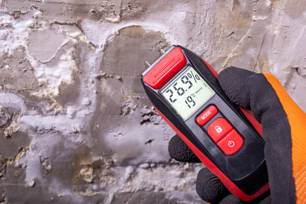 Best Best Mold Removal Companies  in Ashland, MO