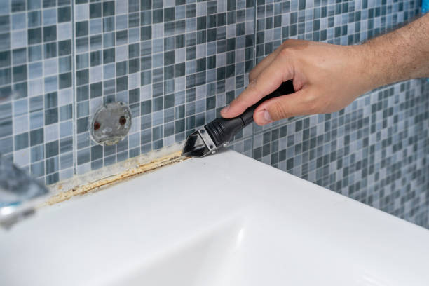 Best Mold Testing and Removal  in Ashland, MO
