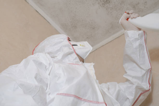 Best Commercial Mold Removal  in Ashland, MO