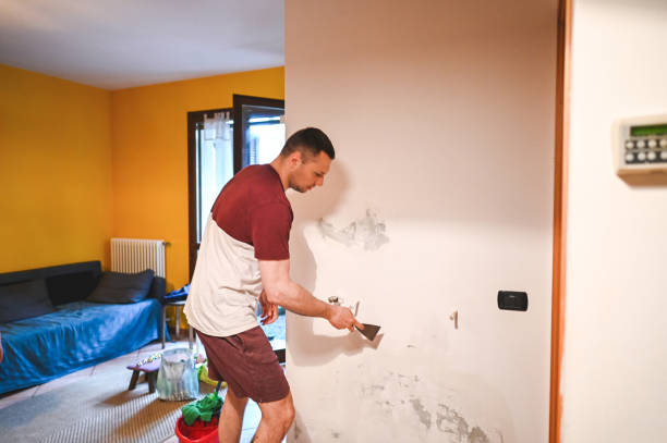 Attic Mold Removal in Ashland, MO